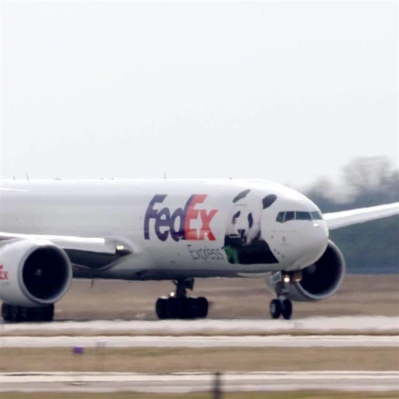 ŭݹ˾ нŭFedex 